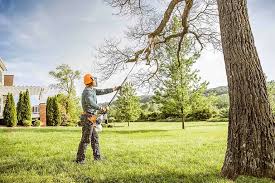 Best Lawn Disease Treatment  in Nicholson, MS
