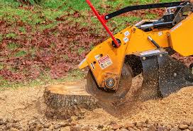 Best Lawn Renovation and Restoration  in Nicholson, MS