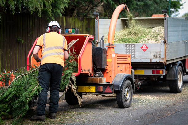Best Lawn Drainage Solutions  in Nicholson, MS