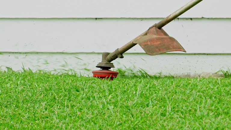 Best Tree Health Inspection  in Nicholson, MS